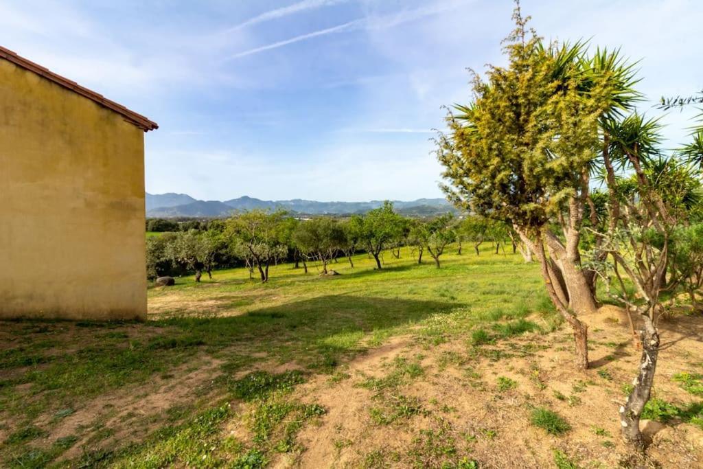 L'Asfodelo Villa บารีซาร์โด ภายนอก รูปภาพ